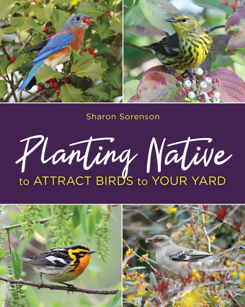 Cover image for book Planting Native to Attract Birds to Your Yard
