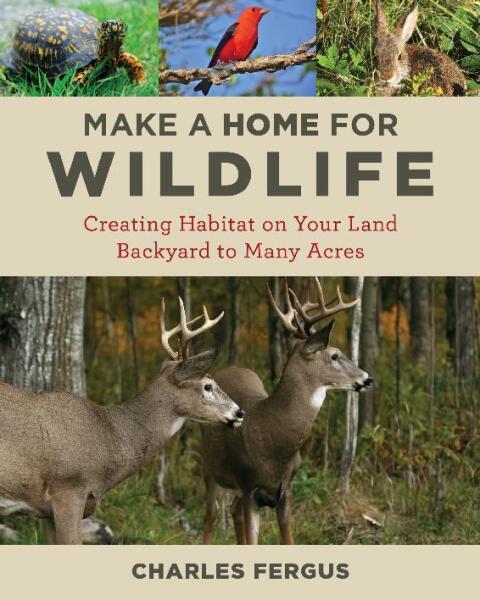 Cover image for book Make a Home for Wildlife