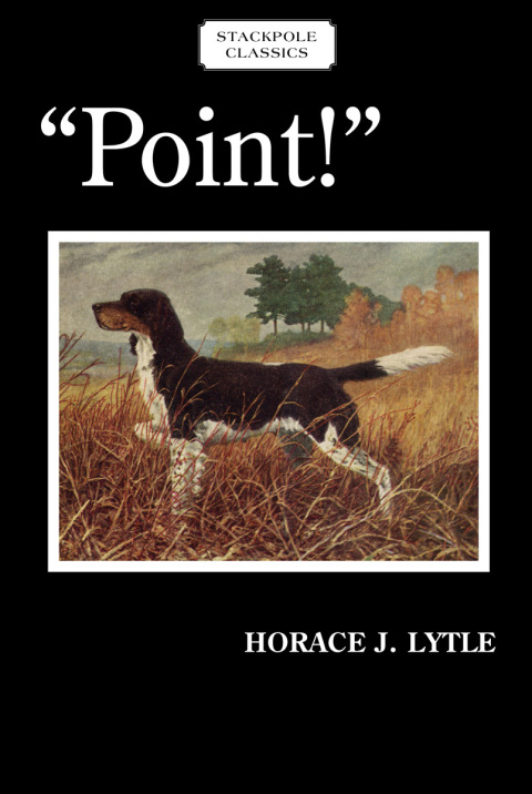 Cover image for book Point!