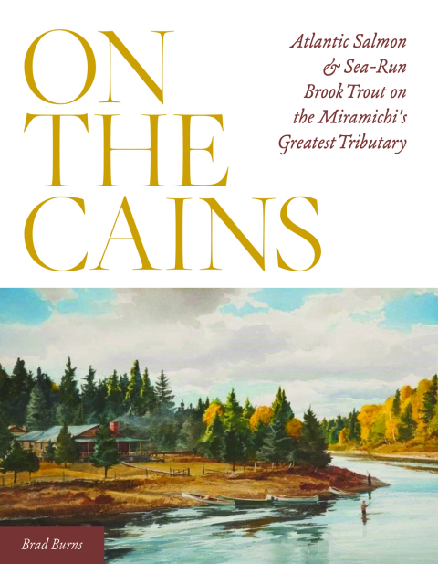 Cover image for book On the Cains
