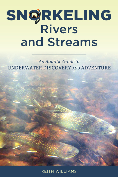 Cover image for book Snorkeling Rivers and Streams