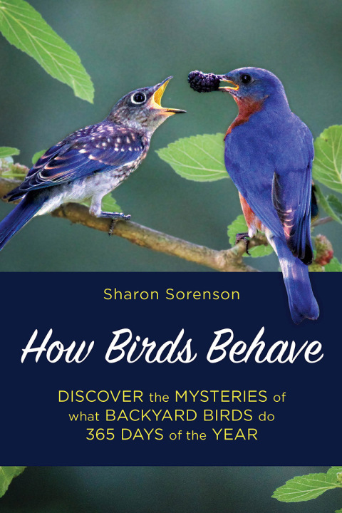 Cover image for book How Birds Behave