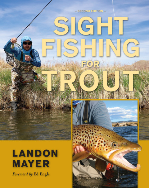 Cover image for book Sight Fishing for Trout