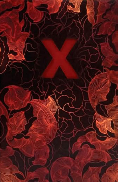 Cover image for book X