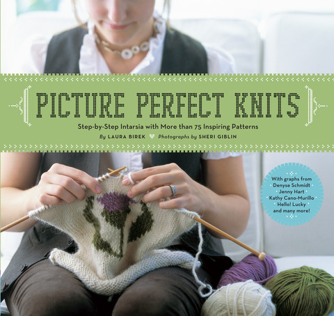 Cover image for book Picture Perfect Knits