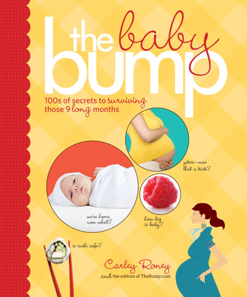 Cover image for book The Baby Bump