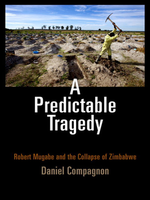 Cover image for book A Predictable Tragedy