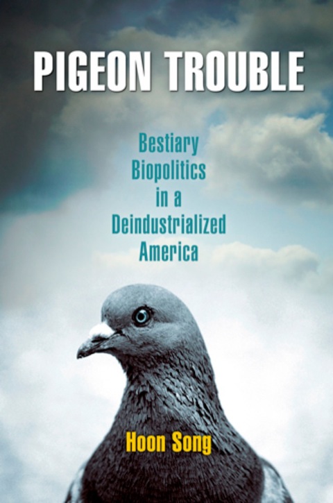 Cover image for book Pigeon Trouble