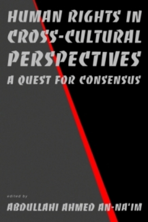 Cover image for book Human Rights in Cross-Cultural Perspectives