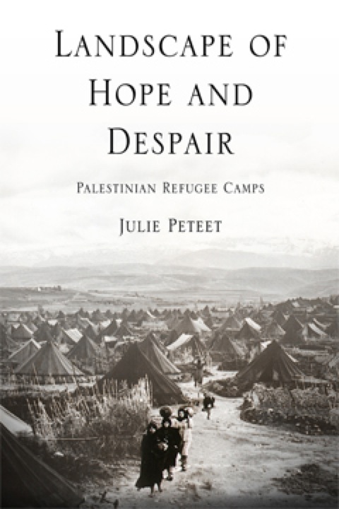 Cover image for book Landscape of Hope and Despair