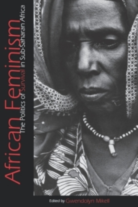Cover image for book African Feminism