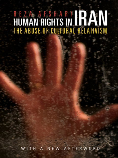 Cover image for book Human Rights in Iran