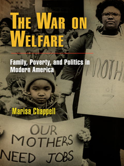 Cover image for book The War on Welfare