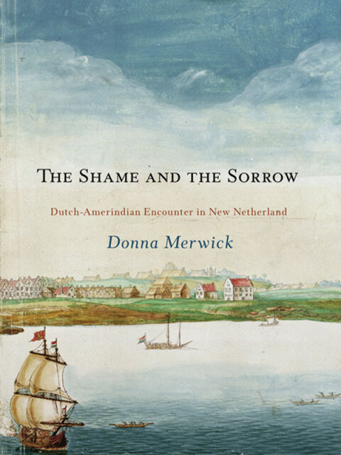 Cover image for book The Shame and the Sorrow