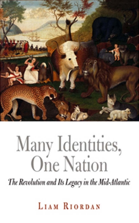 Cover image for book Many Identities, One Nation