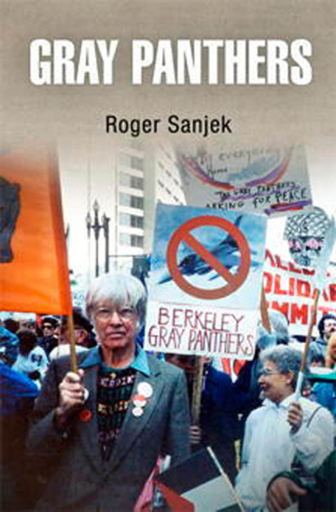 Cover image for book Gray Panthers