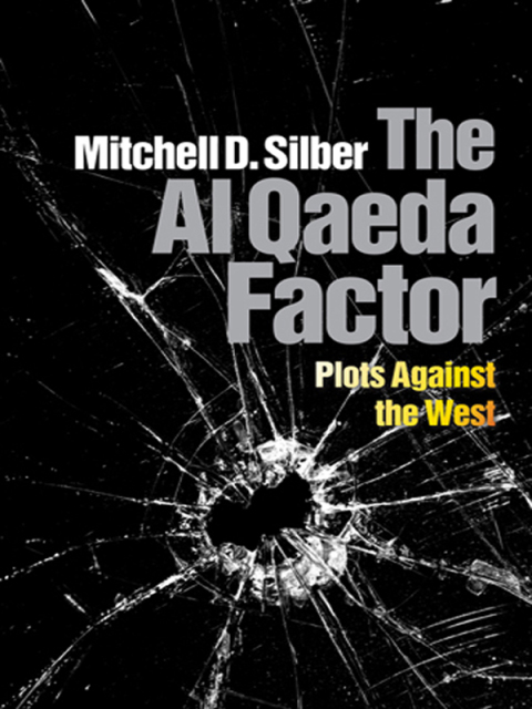 Cover image for book The Al Qaeda Factor