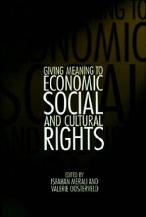 Cover image for book Giving Meaning to Economic, Social, and Cultural Rights