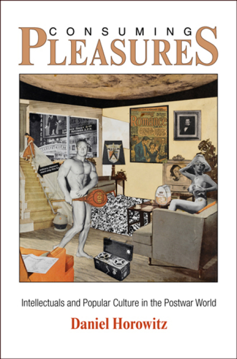 Cover image for book Consuming Pleasures