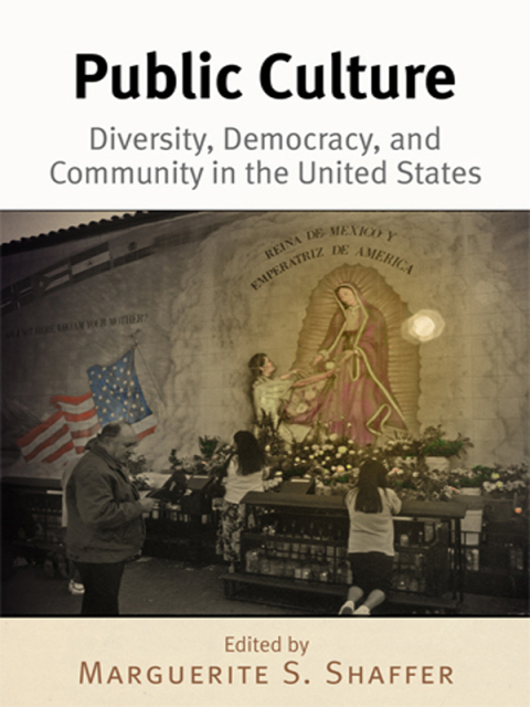 Cover image for book Public Culture