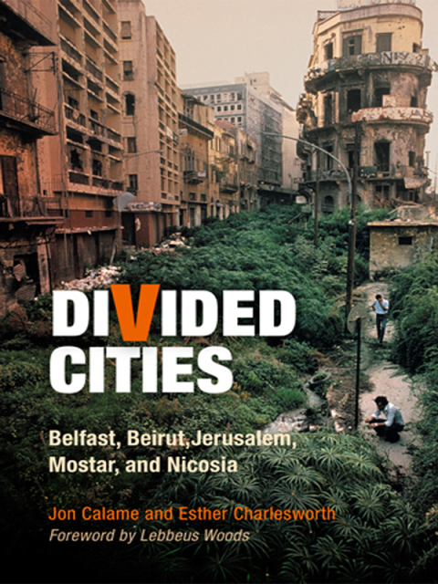 Cover image for book Divided Cities