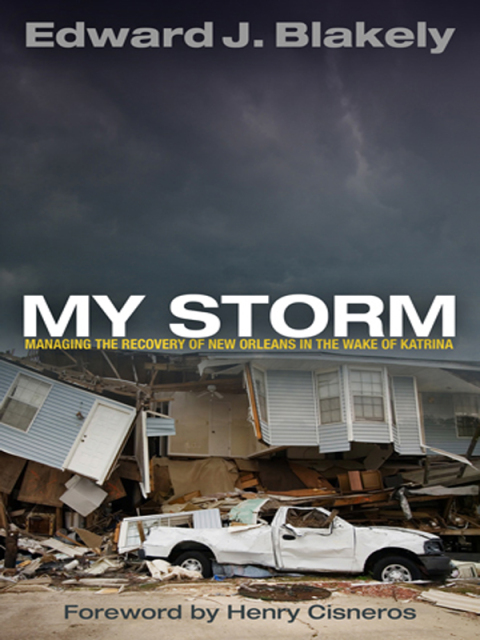 Cover image for book My Storm