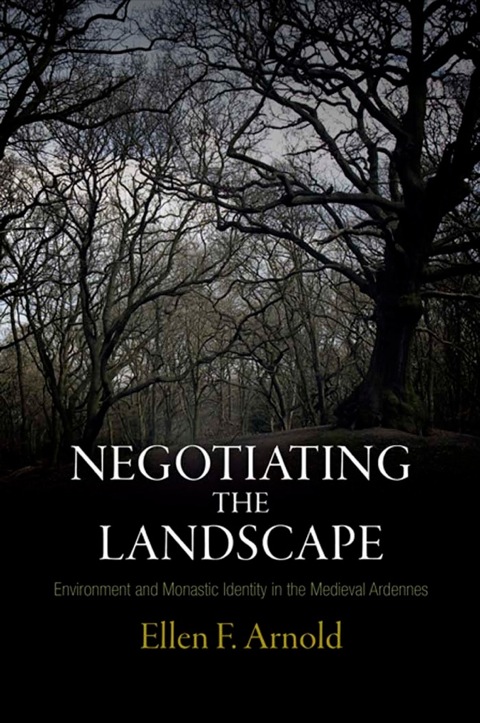 Cover image for book Negotiating the Landscape