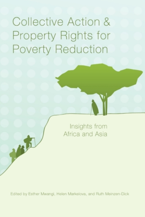 Cover image for book Collective Action and Property Rights for Poverty Reduction