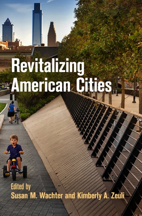Cover image for book Revitalizing American Cities