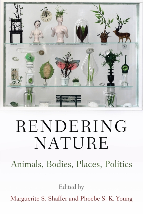 Cover image for book Rendering Nature