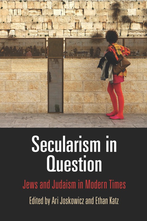 Cover image for book Secularism in Question