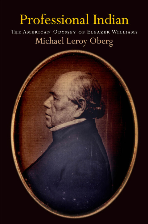 Cover image for book Professional Indian