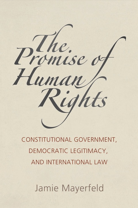 Cover image for book The Promise of Human Rights