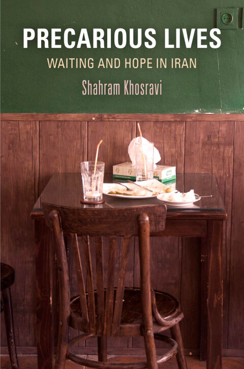 Cover image for book Precarious Lives