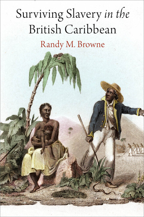 Cover image for book Surviving Slavery in the British Caribbean