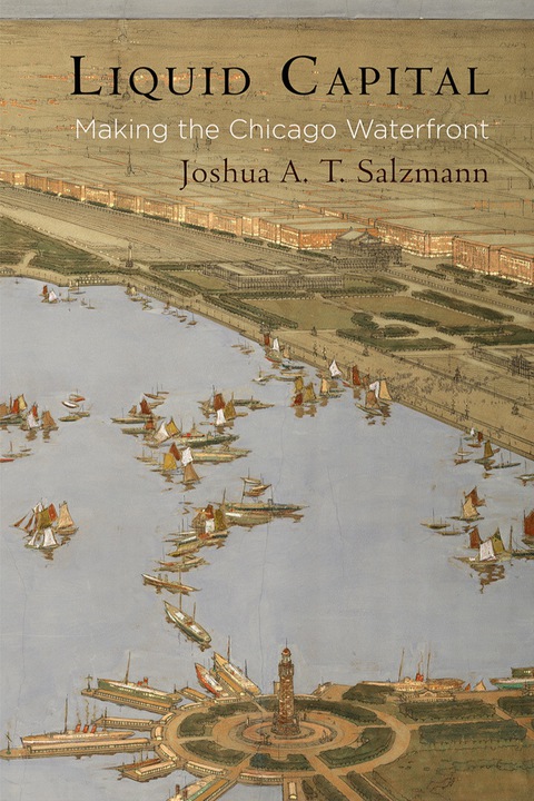 Cover image for book Liquid Capital