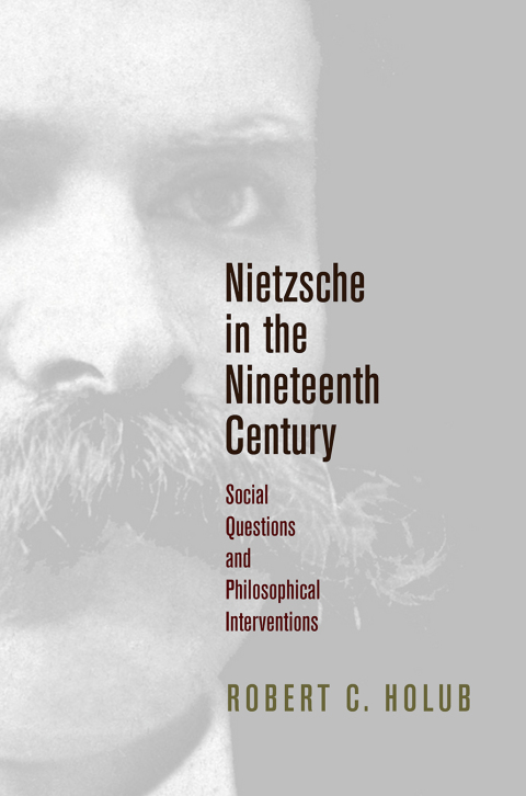 Cover image for book Nietzsche in the Nineteenth Century