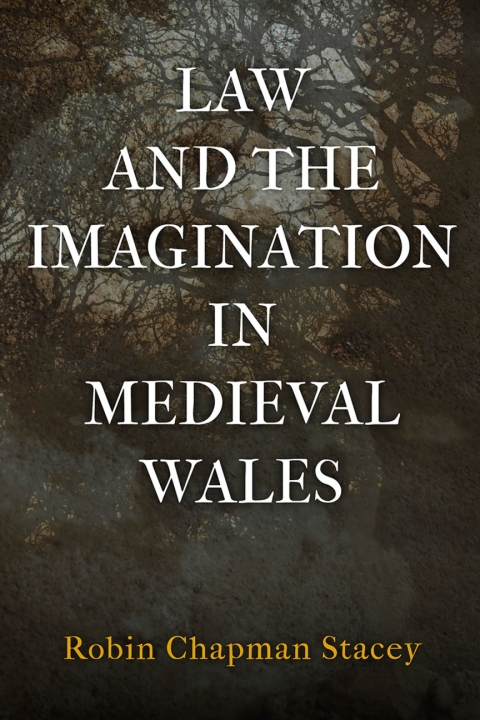 Cover image for book Law and the Imagination in Medieval Wales
