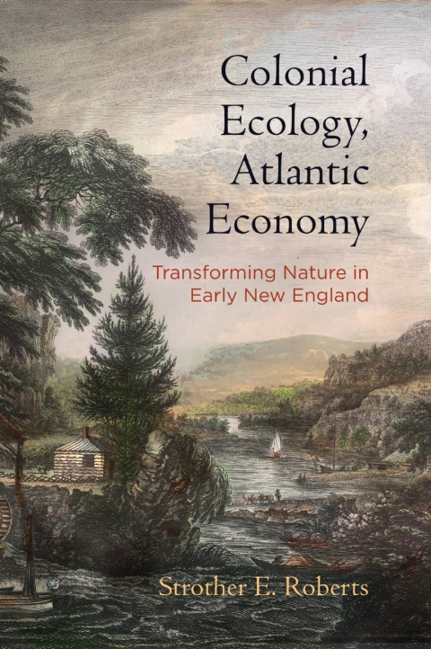 Cover image for book Colonial Ecology, Atlantic Economy