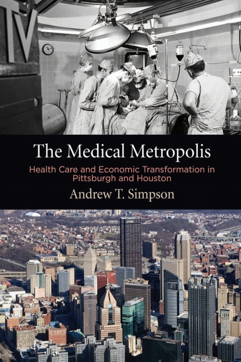 Cover image for book The Medical Metropolis