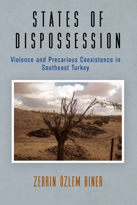 Cover image for book States of Dispossession