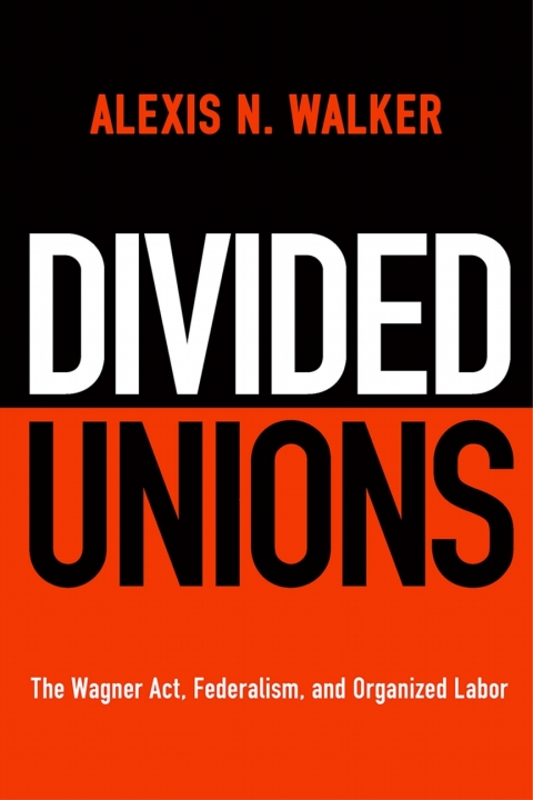 Cover image for book Divided Unions