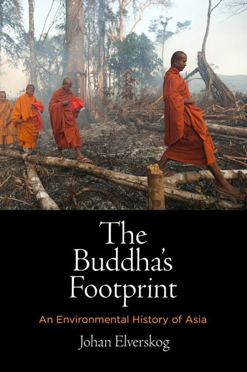 Cover image for book The Buddha's Footprint