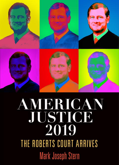Cover image for book American Justice 2019