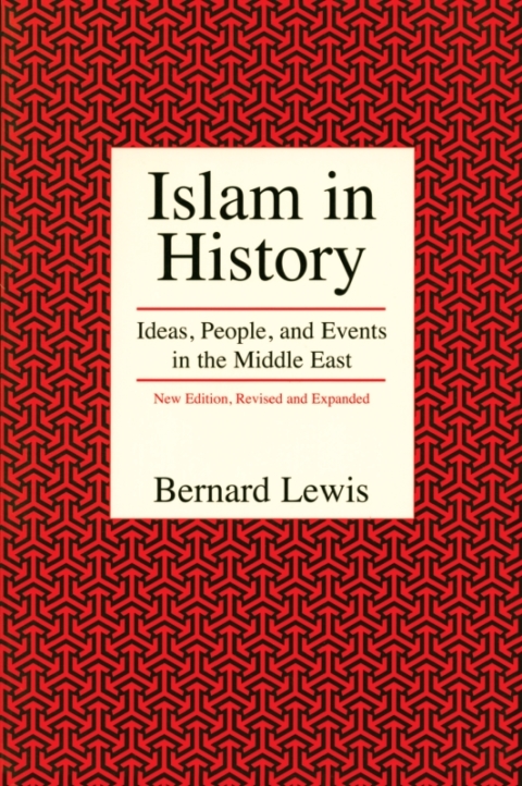 Cover image for book Islam in History