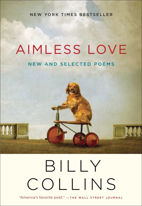 Cover image for book Aimless Love