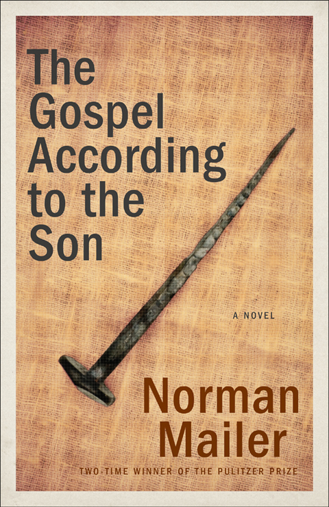 Cover image for book The Gospel According to the Son