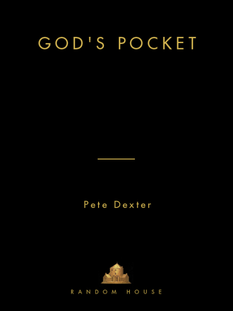 Cover image for book God's Pocket