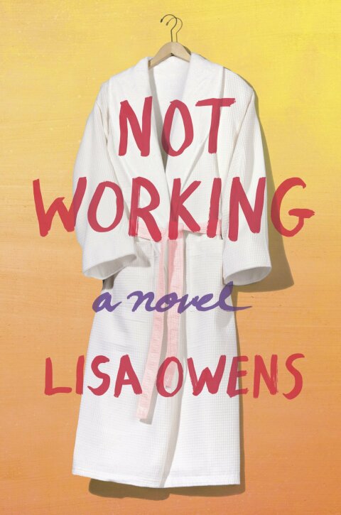 Cover image for book Not Working