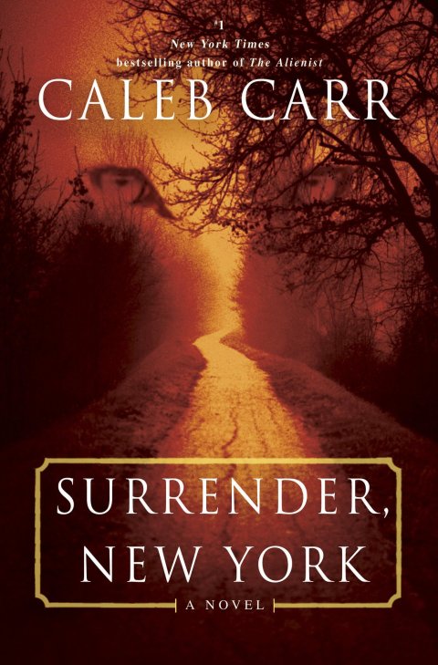 Cover image for book Surrender, New York